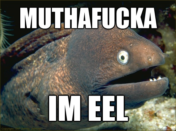 muthafucka im eel - muthafucka im eel  Bad Joke Eel