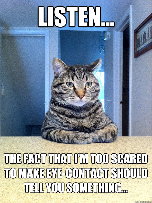 listen... the fact that i'm too scared to make eye-contact should tell you something...  Chris Hansen Cat