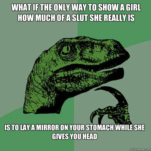 What if the only way to show a girl how much of a slut she really is is to lay a mirror on your stomach while she gives you head  Philosoraptor