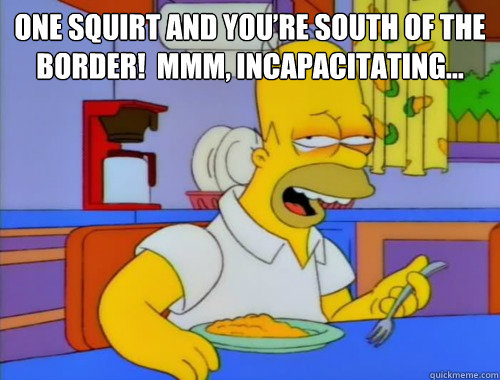 One squirt and you’re south of the border!  Mmm, incapacitating…   Megyn Kelly