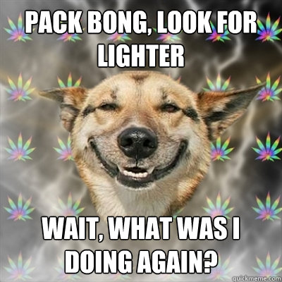 pack bong, look for lighter wait, what was i doing again?  Stoner Dog