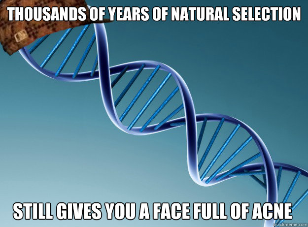 Thousands of years of natural selection  Still gives you a face full of acne  Scumbag Genetics