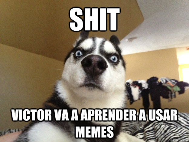 Shit Victor va a aprender a usar memes - Shit Victor va a aprender a usar memes  Sudden Realization Husky