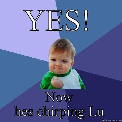 bia says - YES! NOW HES CHIRPING LU Success Kid