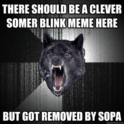 there should be a clever somer blink meme here but got removed by SOPA  Insanity Wolf