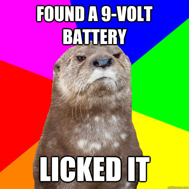 FOund a 9-volt battery licked it - FOund a 9-volt battery licked it  Otter Know Better