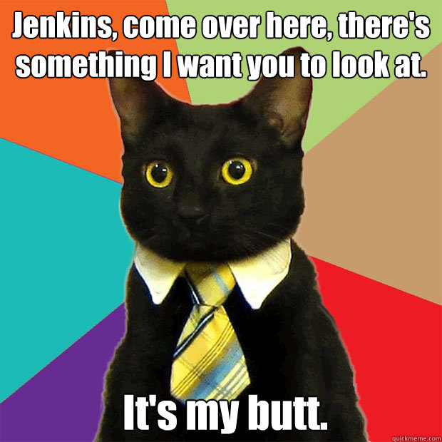 Jenkins, come over here, there's something I want you to look at. It's my butt.  Business Cat