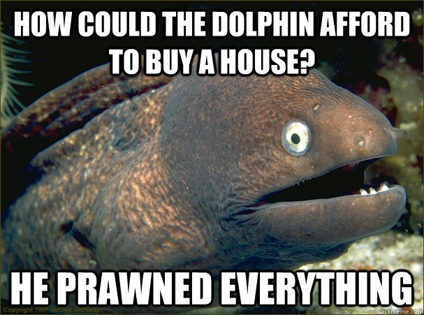 How could the dolphin afford to buy a house? he prawned everything  Bad Joke Eel