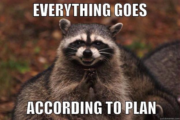            EVERYTHING GOES                      ACCORDING TO PLAN        Evil Plotting Raccoon