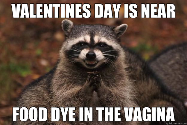 VALENTINES DAY IS NEAR FOOD DYE IN THE VAGINA - VALENTINES DAY IS NEAR FOOD DYE IN THE VAGINA  Evil Plotting Raccoon