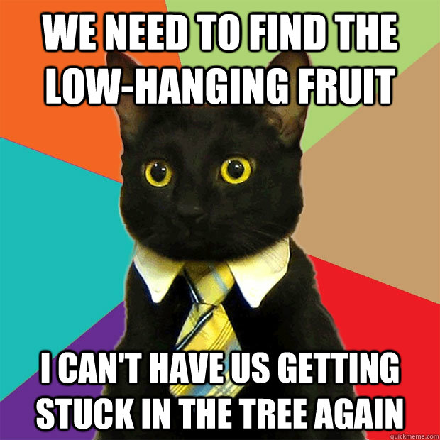 We need to find the low-hanging fruit I can't have us getting stuck in the tree again  Business Cat