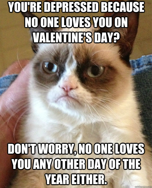 You're depressed because no one loves you on Valentine's day? Don't worry, no one loves you any other day of the year either. - You're depressed because no one loves you on Valentine's day? Don't worry, no one loves you any other day of the year either.  Misc