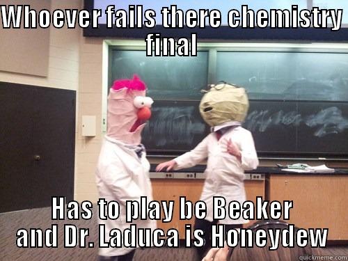 WHOEVER FAILS THERE CHEMISTRY FINAL HAS TO PLAY BE BEAKER AND DR. LADUCA IS HONEYDEW Misc