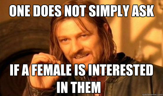 One Does Not Simply Ask if a female is interested  In Them  Boromir