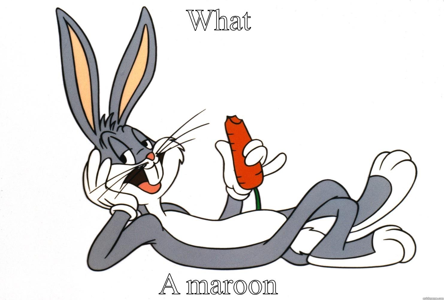 Buggy says - WHAT A MAROON Misc