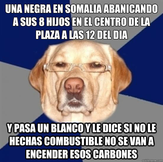 Una Negra en Somalia abanicando a sus 8 hijos en el centro de la Plaza a las 12 del dia   Y pasa un blanco y le dice Si no le hechas combustible No se van a encender esos carbones   