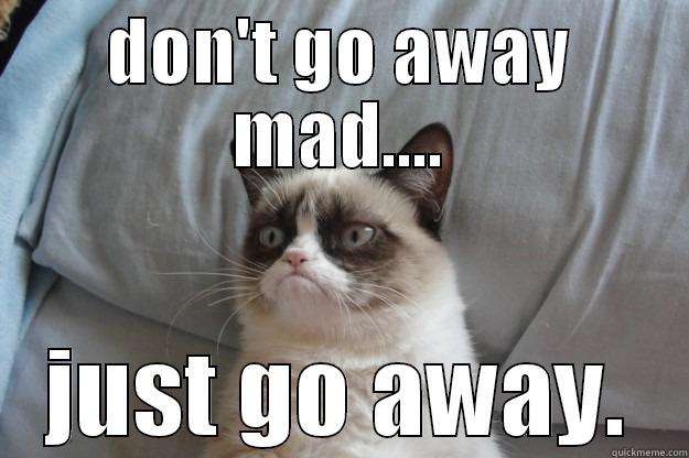 DON'T GO AWAY MAD.... JUST GO AWAY. Grumpy Cat