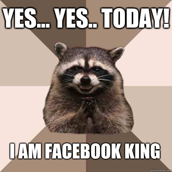 Yes... Yes.. Today! I am facebook king - Yes... Yes.. Today! I am facebook king  Evil Plotting Raccoon