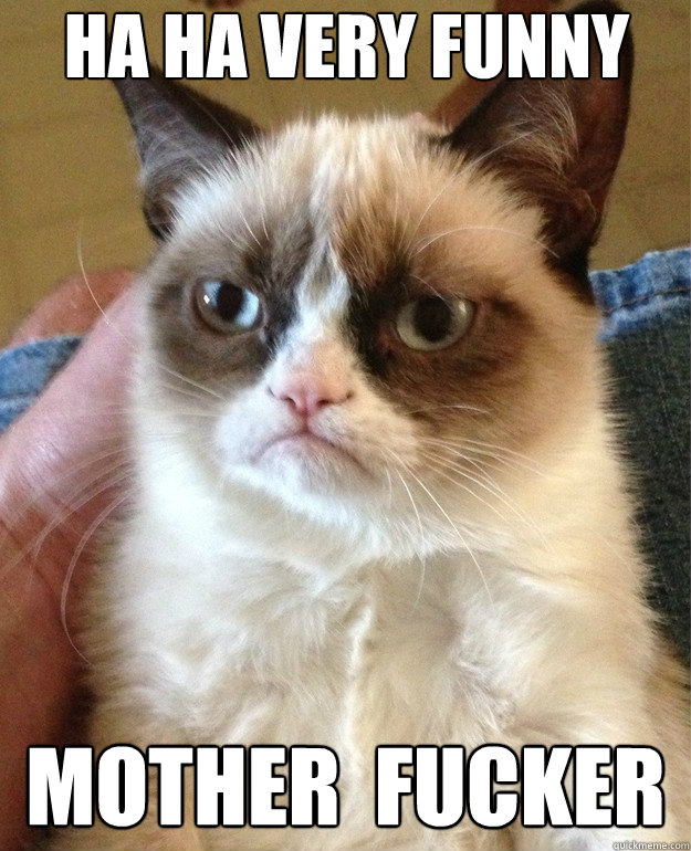 HA HA VERY FUNNY MOTHER  FUCKER  Grumpy Cat