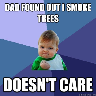 Dad found out i smoke trees doesn't care  Success Kid