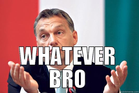 ORBAN TELLING YOU HOW IT IS -  WHATEVER BRO Misc