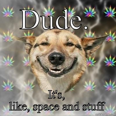 DUDE. IT'S, LIKE, SPACE AND STUFF Stoner Dog