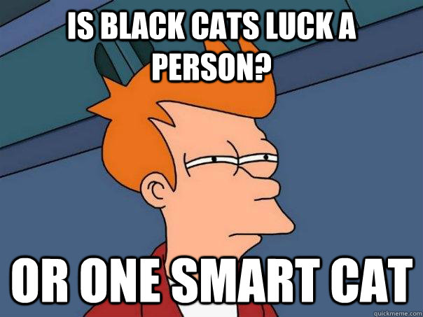 Is black cats luck a person? or one smart cat  Futurama Fry