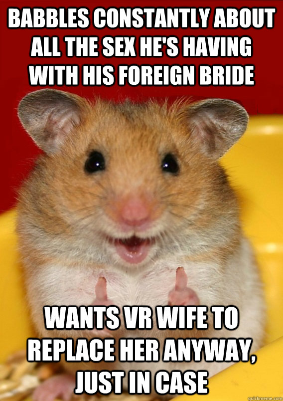 Babbles constantly about all the sex he's having with his foreign bride Wants VR wife to replace her anyway, just in case   Rationalization Hamster