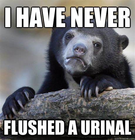 i have never
 flushed a urinal  Confession Bear