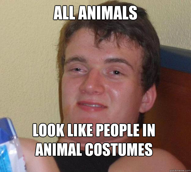 all animals look like people in animal costumes  10 Guy