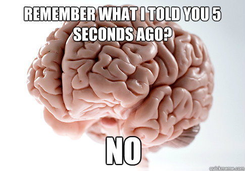 Remember what i told you 5 seconds ago? no  Scumbag Brain