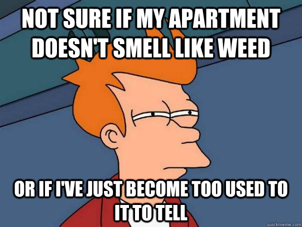 Not sure if my apartment doesn't smell like weed Or if I've just become too used to it to tell  Futurama Fry