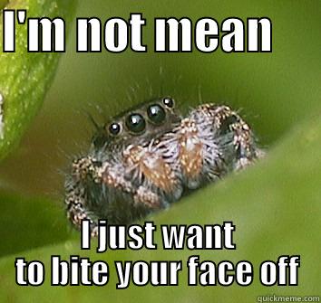 I'M NOT MEAN      I JUST WANT TO BITE YOUR FACE OFF Misunderstood Spider