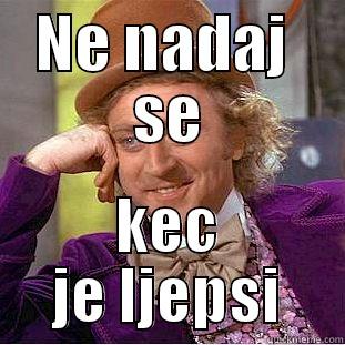 dasda daedjasi djaiodaosda - NE NADAJ  SE KEC JE LJEPSI Condescending Wonka