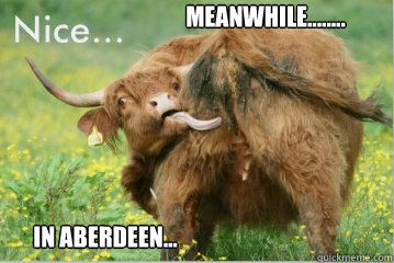 Meanwhile........ In Aberdeen... - Meanwhile........ In Aberdeen...  Dirty Angus