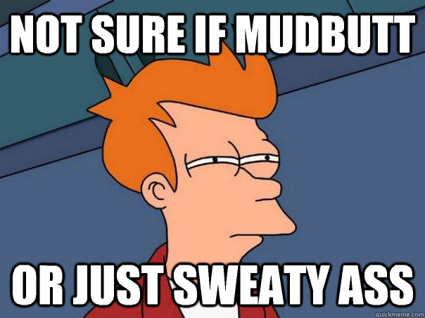 Not sure if mudbutt Or just sweaty ass  Futurama Fry