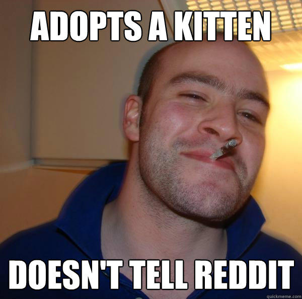 Adopts a kitten doesn't tell reddit  