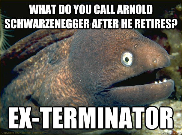 What do you call arnold schwarzenegger after he retires? EX-TERMINATOR  Bad Joke Eel