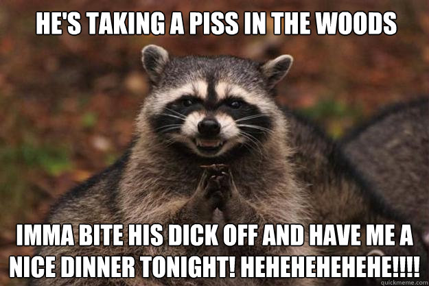 he's taking a piss in the woods imma bite his dick off and have me a nice dinner tonight! hehehehehehe!!!! - he's taking a piss in the woods imma bite his dick off and have me a nice dinner tonight! hehehehehehe!!!!  Evil Plotting Raccoon