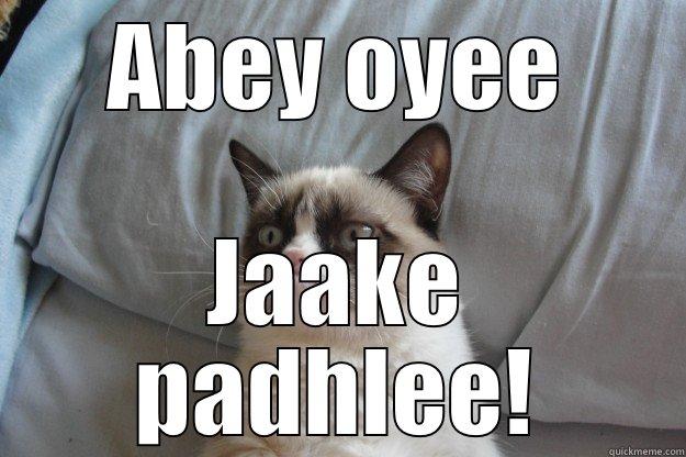 Abey oyeee! - ABEY OYEE JAAKE PADHLEE! Grumpy Cat