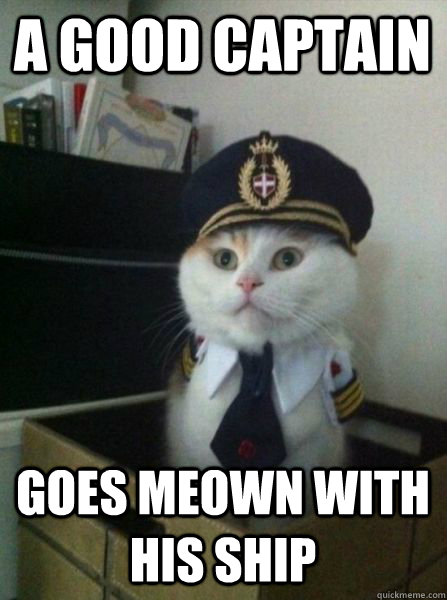 A good captain goes meown with his ship - A good captain goes meown with his ship  Captain kitteh