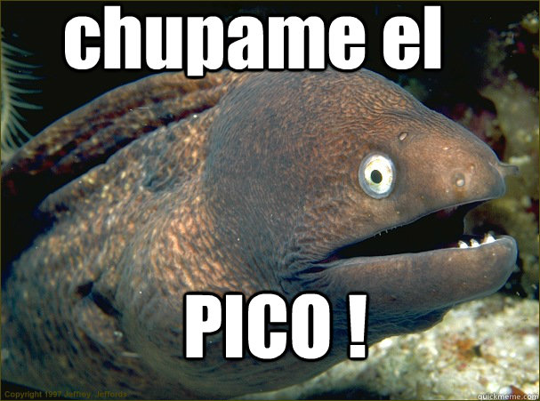 chupame el PICO ! - chupame el PICO !  Bad Joke Eel