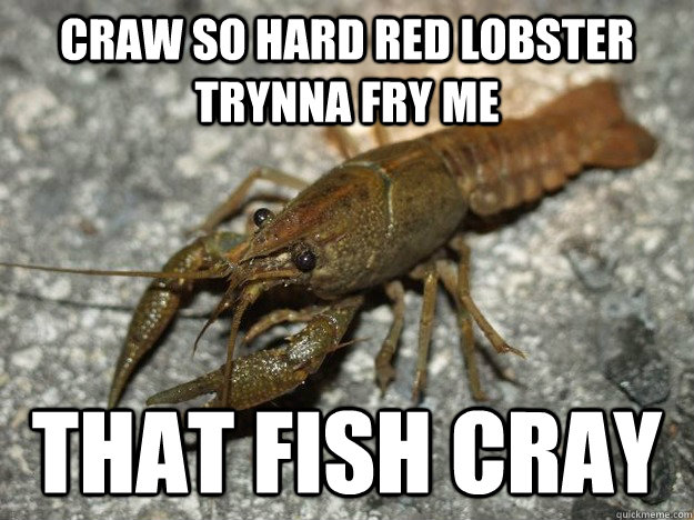 craw so hard red lobster trynna fry me that fish cray  that fish cray