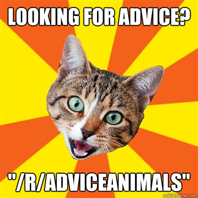 looking for advice? 