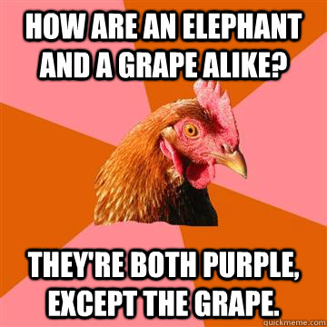 How are an elephant and a grape alike? They're both purple, except the grape.  Anti-Joke Chicken