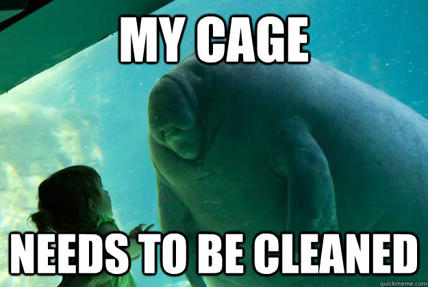 My cage needs to be cleaned - My cage needs to be cleaned  Overlord Manatee