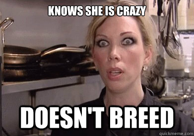 Knows she is crazy Doesn't breed - Knows she is crazy Doesn't breed  Crazy Amy