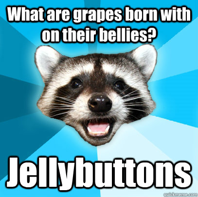 What are grapes born with on their bellies? Jellybuttons  Lame Pun Coon