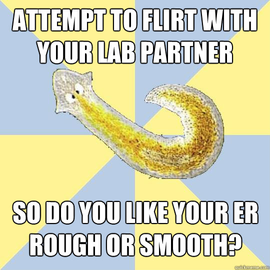 attempt to flirt with your lab partner so do you like your ER rough or smooth?  Bio Major Planarian