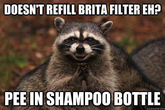 Doesn't refill brita filter eh? pee in shampoo bottle - Doesn't refill brita filter eh? pee in shampoo bottle  Evil Plotting Raccoon